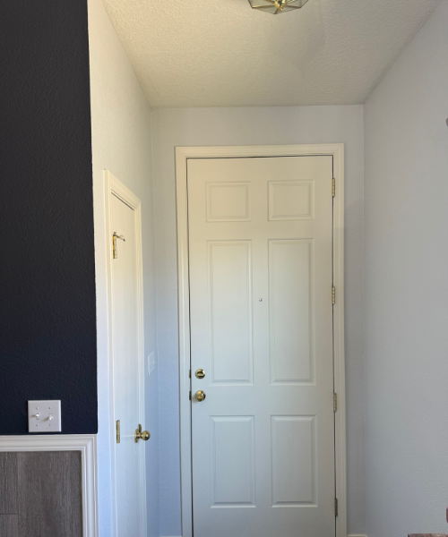 A hallway with a white door and a black wall